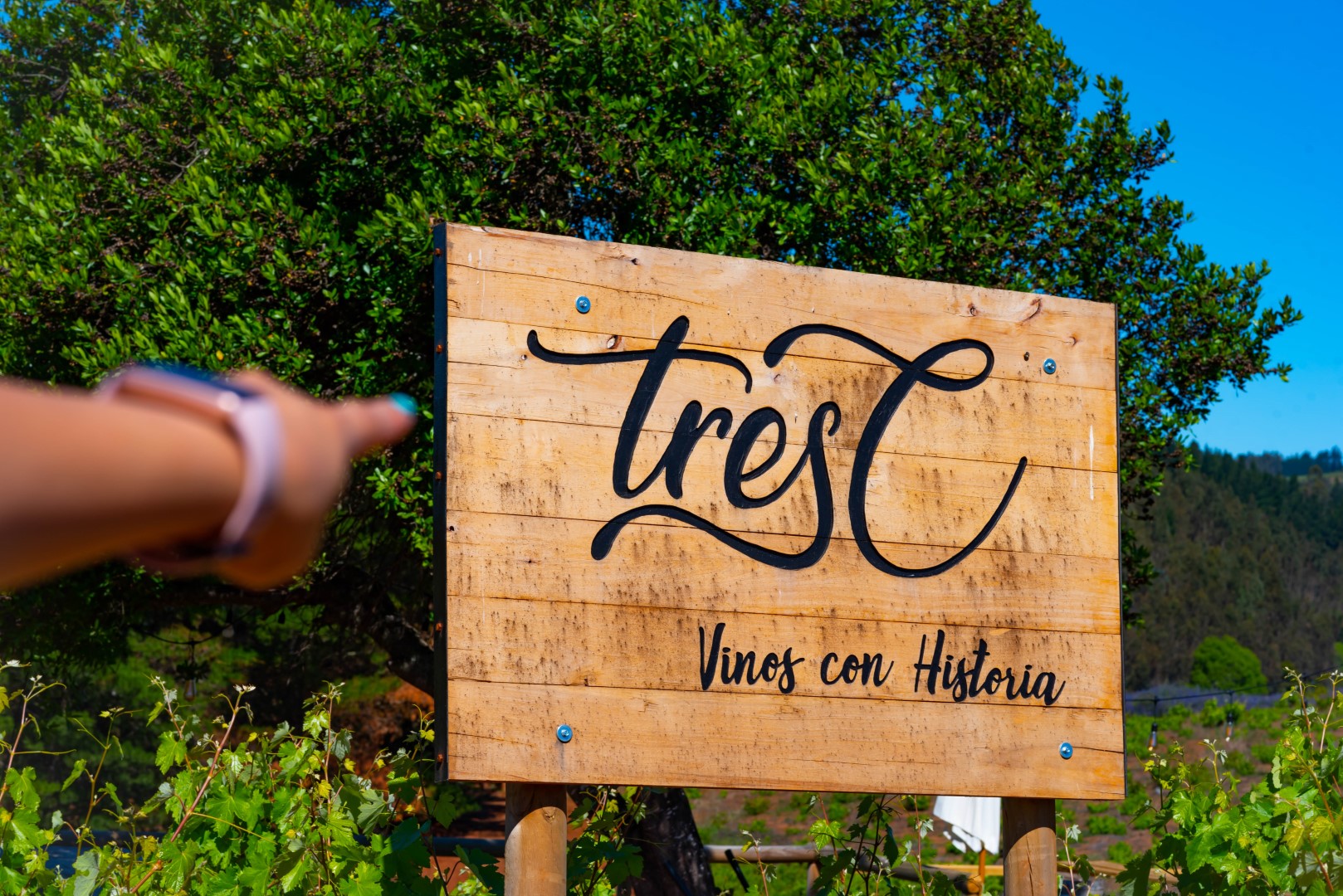 Viña TresC